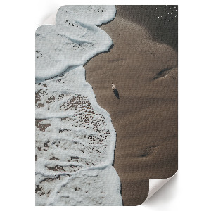 Poster featuring a beach nature scene