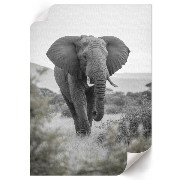 Wall print with an African elephant motif