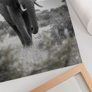 Wall print with an African elephant motif