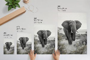 Wall print with an African elephant motif
