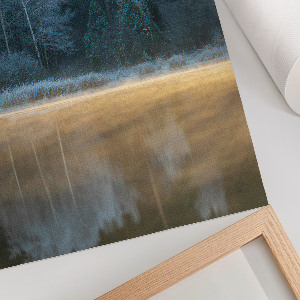 Wall print Forest silence