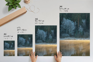 Wall print Forest silence