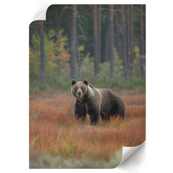 Poster of a bear in a forest