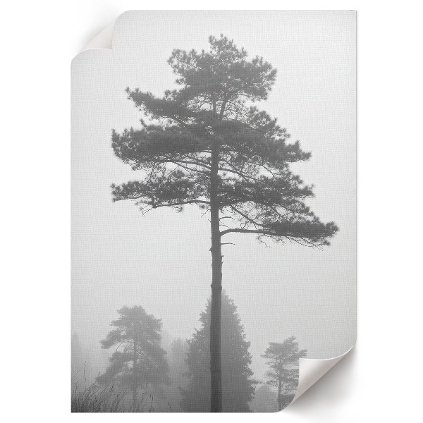 Wall art featuring fog and trees