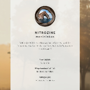 Wall art Fog and trees