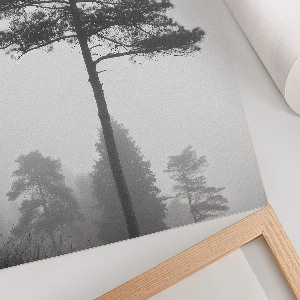 Wall art featuring fog and trees