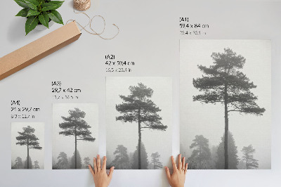 Wall art Fog and trees