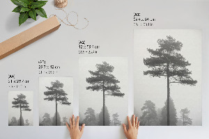 Wall art featuring fog and trees