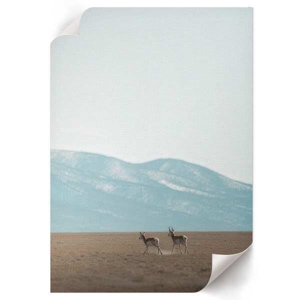 Art print of mountain views