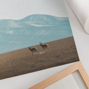 Art print of mountain views