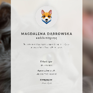 Decorative poster Gray cat