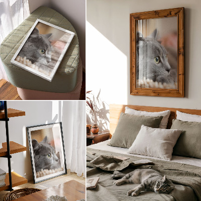 Decorative poster Gray cat