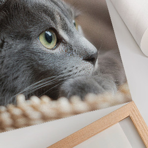 Decorative poster of a gray cat