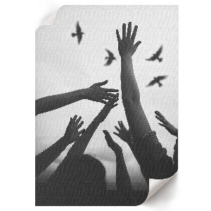 Decorative poster depicting hands and birds