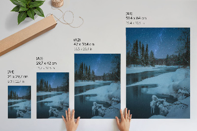Art print Winter night