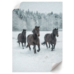 Poster featuring winter horses