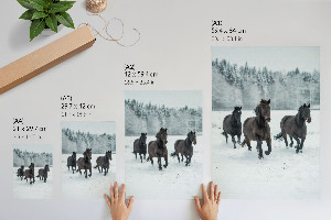 Poster featuring winter horses
