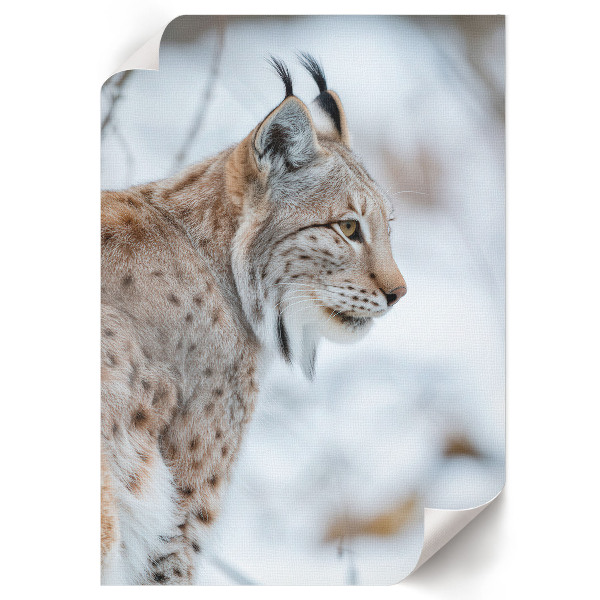 Wall art featuring a winter lynx