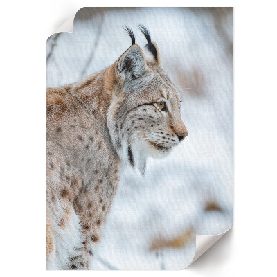Wall art Winter lynx