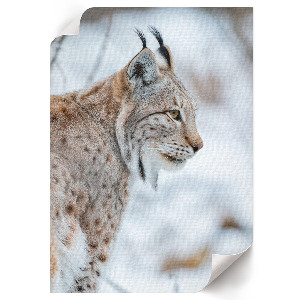 Wall art featuring a winter lynx