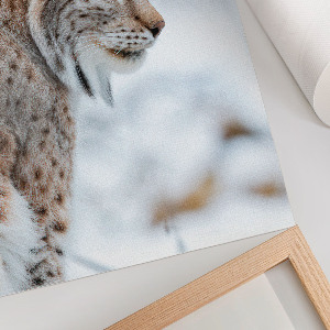 Wall art featuring a winter lynx