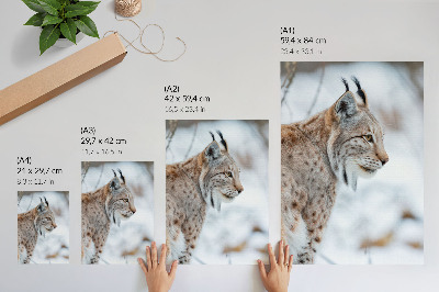 Wall art Winter lynx