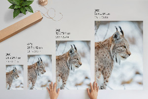 Wall art featuring a winter lynx