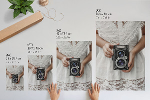 Vintage camera poster