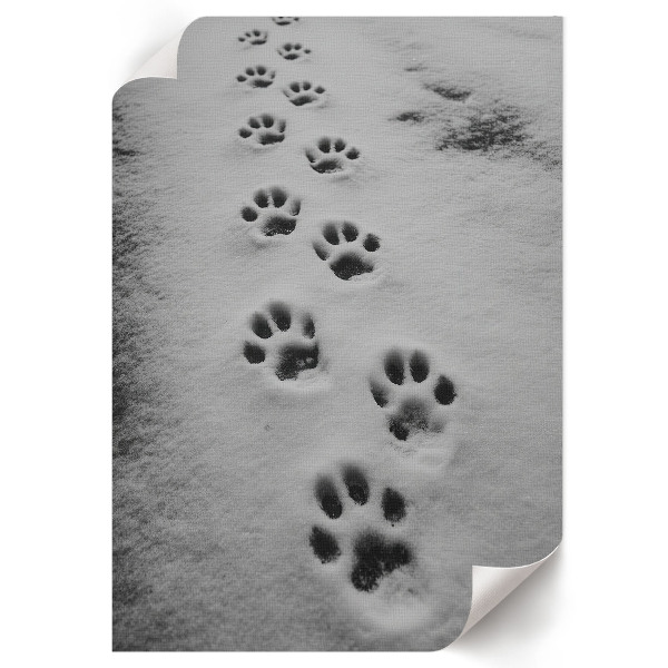 Art print depicting animal tracks