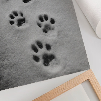 Art print Animal tracks