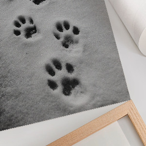 Art print depicting animal tracks