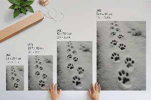 Art print depicting animal tracks