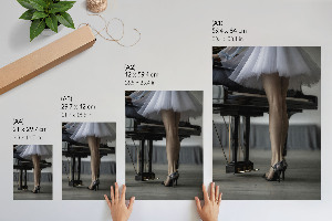 Decorative poster The Piano and the Woman