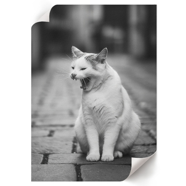 Art print featuring a yawning cat