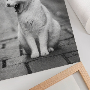 Art print featuring a yawning cat