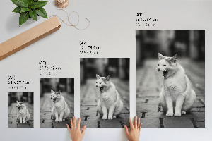 Art print featuring a yawning cat
