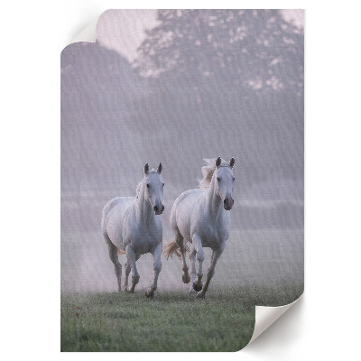 Wall art Galloping horses