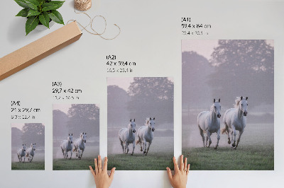 Wall art Galloping horses