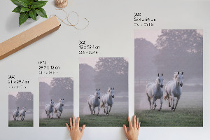Wall art featuring galloping horses