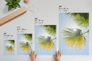 Wall art featuring tropical palm trees