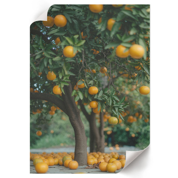 Wall print with an orange orchard motif