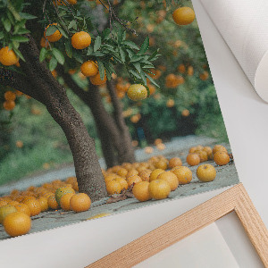 Wall print with an orange orchard motif