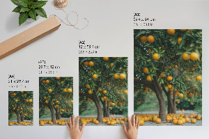 Wall print with an orange orchard motif