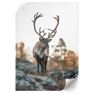 Wall art featuring a deer in a natural setting