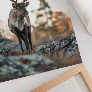 Wall art featuring a deer in a natural setting