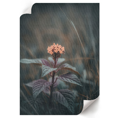 Wall print Floral charm