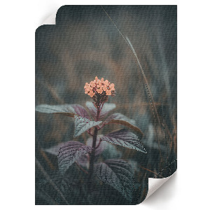 Wall print with a floral design called 