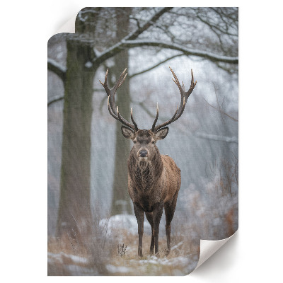 Art print Winter deer
