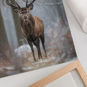 Art print Winter deer