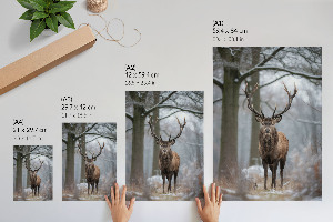 Art print Winter deer